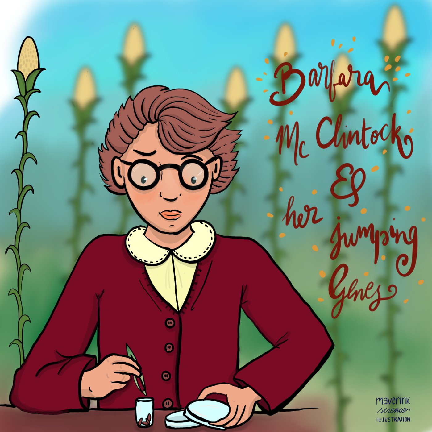 Barbara McClintock at her microscope with corn