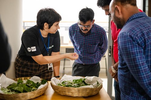 A mediator showing leaves to visitors