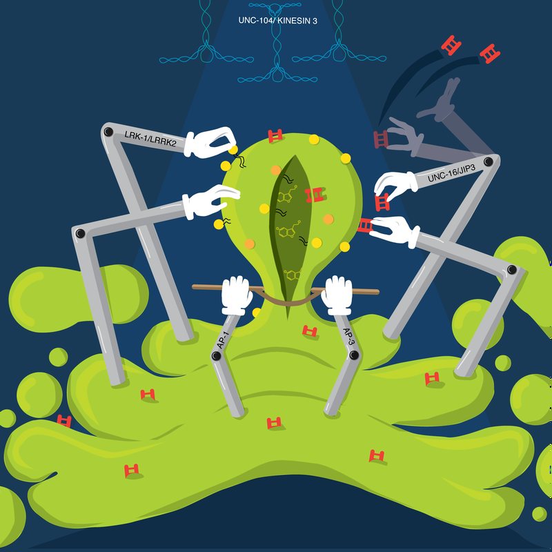 Concerted Creation: a green cell manipulated by robotic arms