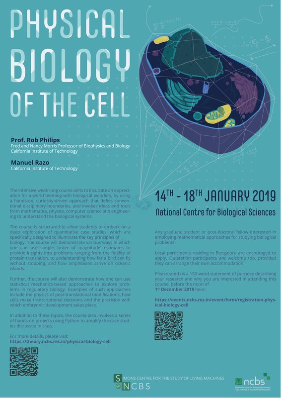 Physical Biology of the Cell poster