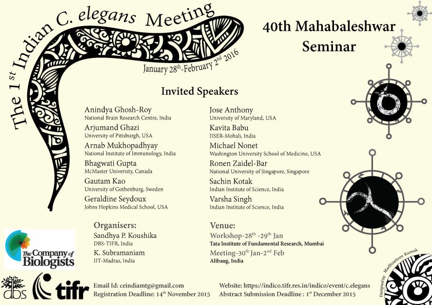 Poster for a C. elegans meeting