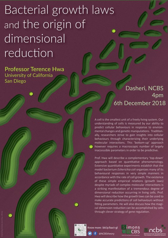 Poster on bacterial growth laws