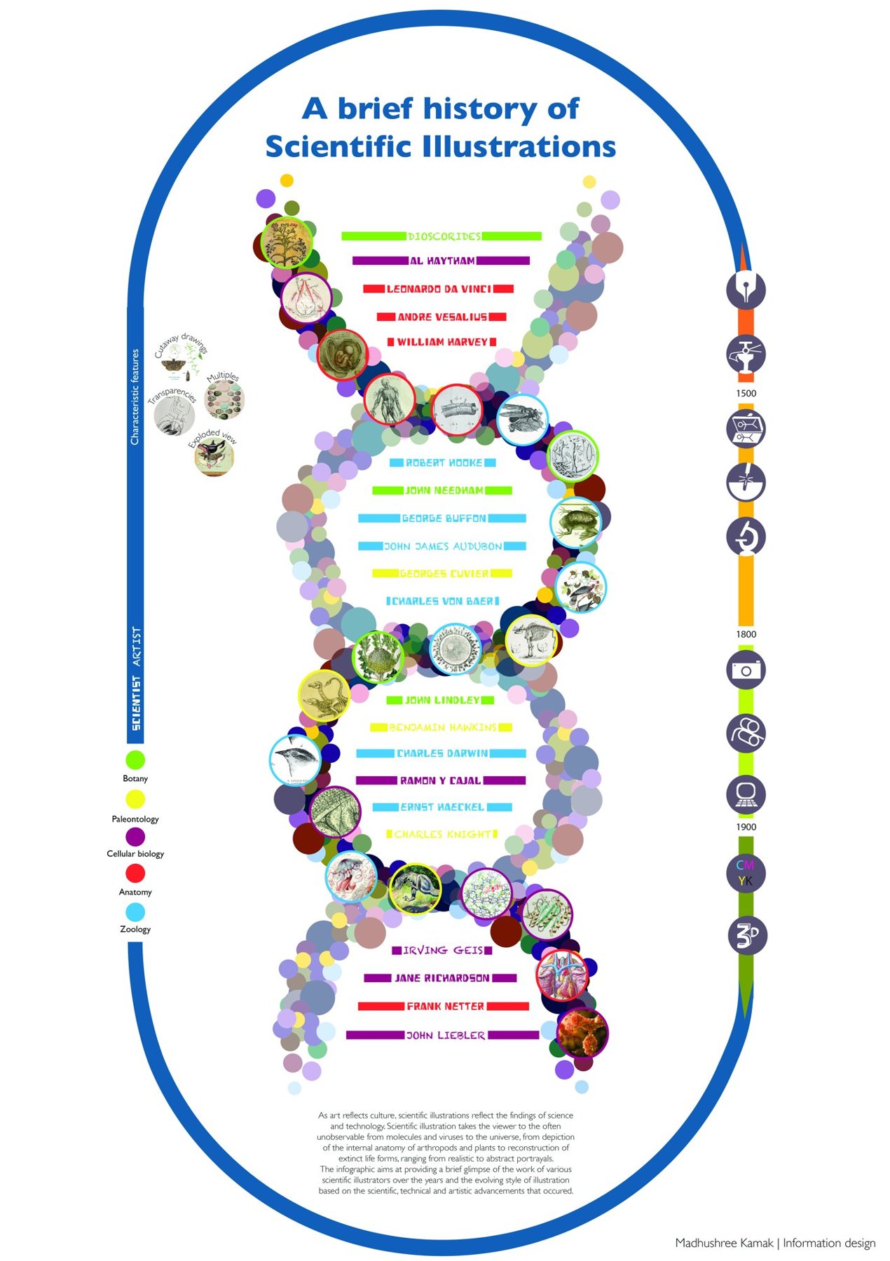 A double-helix timeline of the history of scientific illustration