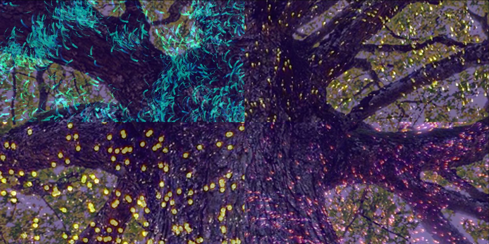 Layered colourful forest imagery