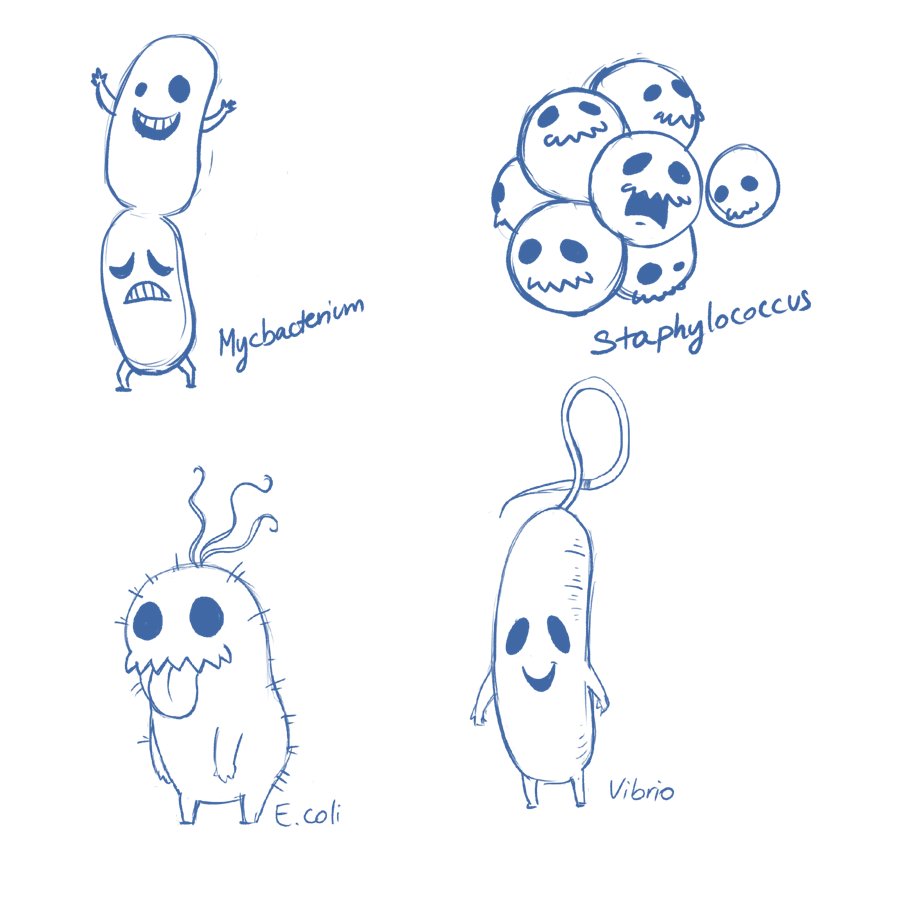 Pencil sketches of Mycobacterium, Staphylococcus, E. coli and Vibrio characters